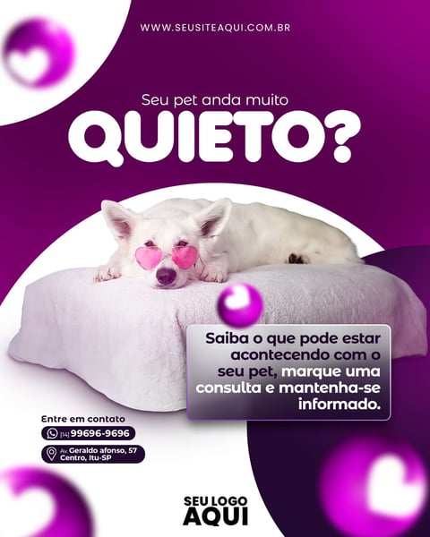 POST FEED - PET SHOP | CLINICA VETERINÁRIA