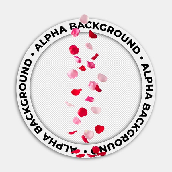 PÉTALAS DE ROSAS AO AR 07