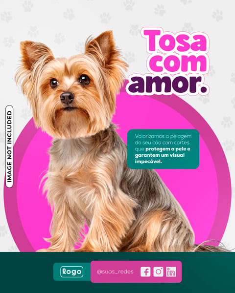 POST CARD PET SHOP