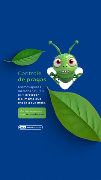 AGRONEGÓCIO STORY 2