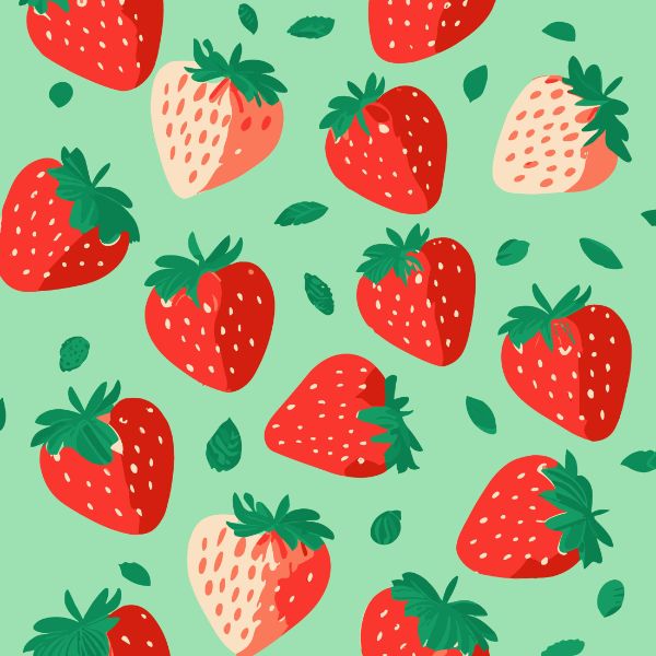 VÁRIOS MORANGOS VETOR COM FUNDO VERDE CLARO