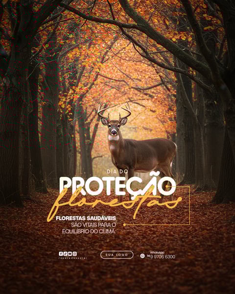 11 DE JULHO - DIA DE PROTEÇÃO ÀS FLORESTAS FLYER SOCIAL MEDIA PSD EDITÁVEL