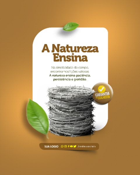 SOCIAL MEDIA - AGRONEGÓCIO - A NATUREZA ENSINA