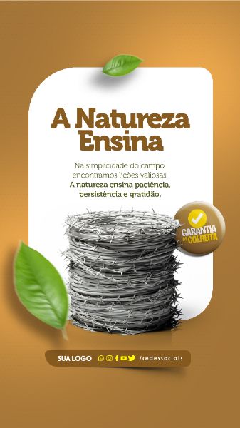 STORY - AGRONEGÓCIO - A NATUREZA ENSINA