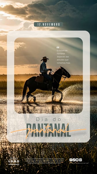 DIA DO PANTANAL 12 DE NOVEMBRO STORY SOCIAL MEDIA PSD EDITÁVEL 3