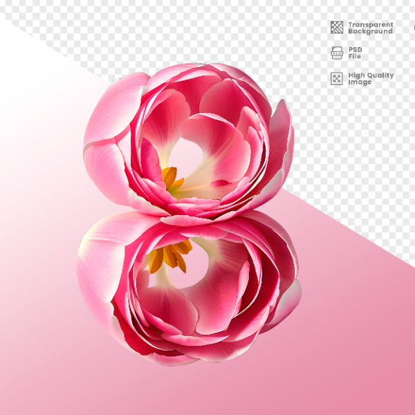 DIA DA MULHER -  ELEMENTO 3D NÚMERO 8 PARA COMPOSIÇÃO