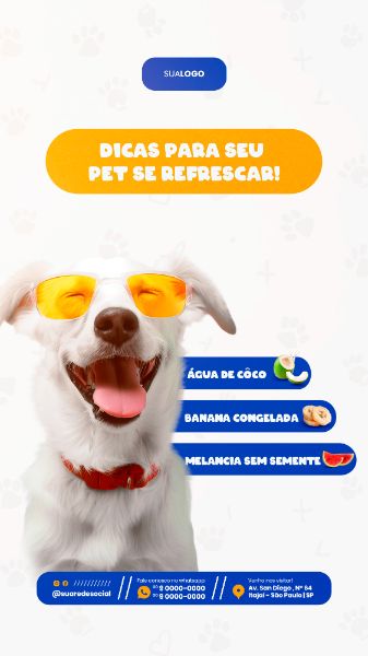 PETSHOP SOCIAL MEDIA POST STORY
