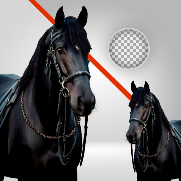 UM CAVALO PRETO, CAVALO EM PNG, VAQUEJADA, CAVALGADA, ELEMENTO PNG PARA CANVA