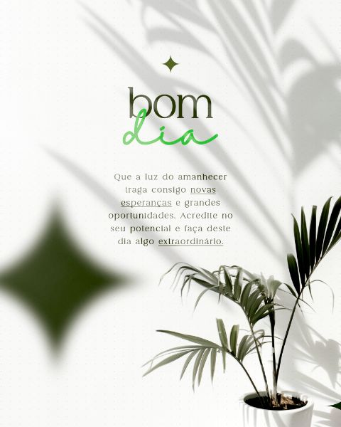 BOM DIA SOCIAL MEDIA FEED VERTICAL