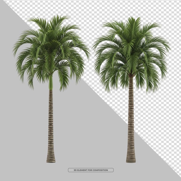 ELEMENTO 3D PNG COQUEIROS