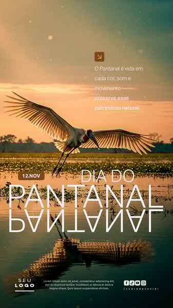 DIA DO PANTANAL 12 DE NOVEMBRO STORY SOCIAL MEDIA PSD EDITÁVEL 1