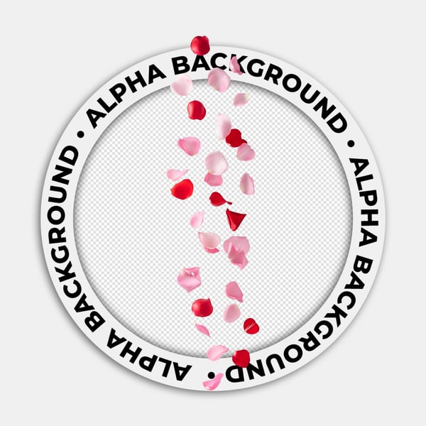 PÉTALAS DE ROSAS AO AR 06