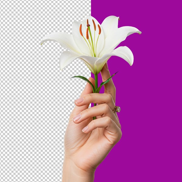 LOF MÃO SEGURANDO FLOR BRANCA PSD EDITAVEL 2