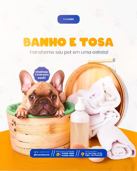PETSHOP SOCIAL MEDIA POST FEED VERTICAL