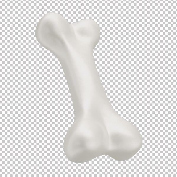 ASSET 3D - OSSO EM 3D COM FUNDO TRANSPARENTE