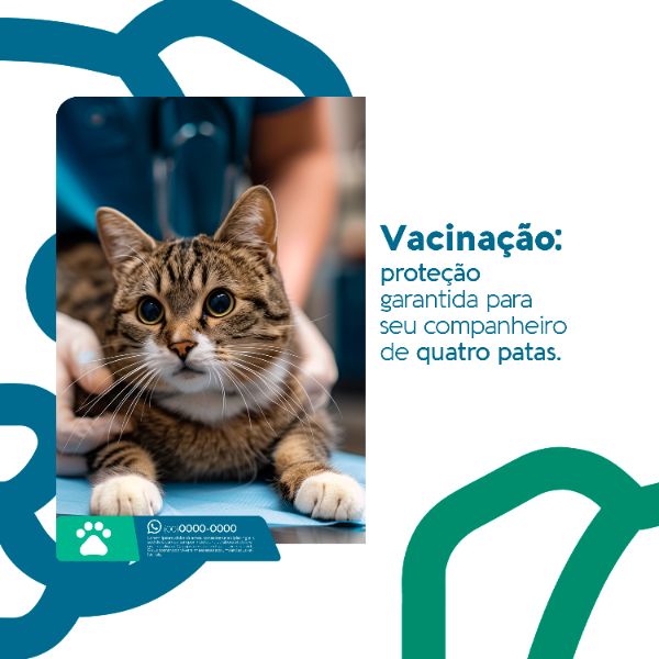 PX3 - 04 SOCIAL MEDIA CLÍNICA VETERINÁRIA