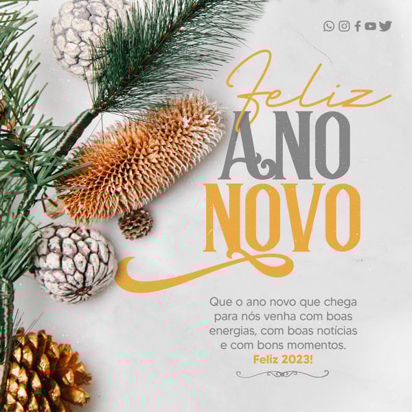 SOCIAL MEDIA - FEED  - FELIZ ANO NOVO  - QUE O ANO NOVO QUE CHEGA PARA NÓS VENHA COM BOAS ENERGIAS, COM BOAS