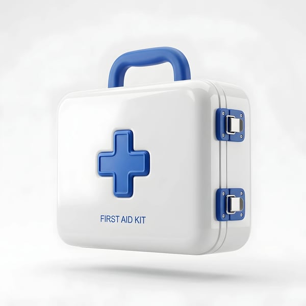 WHITE FIRST AID KIT BLUE CROSS CASE