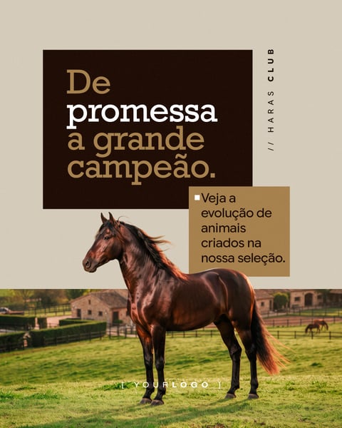 DE PROMESSA A GRANDE CAMPEÃO HARAS SOCIAL MEDIA PSD EDITÁVEL