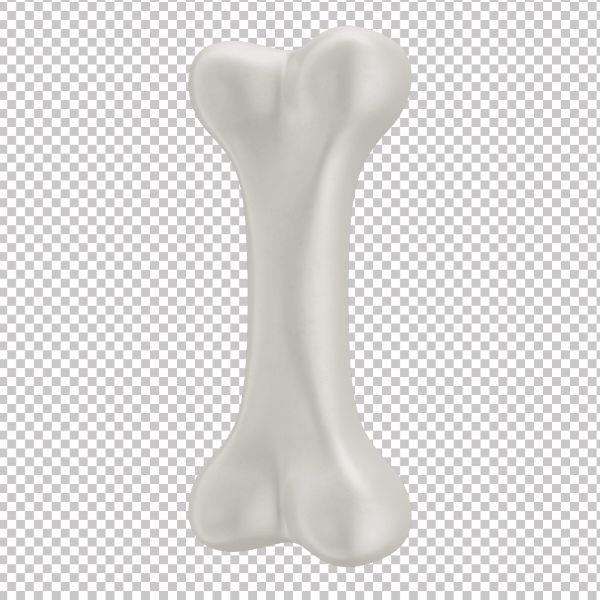 ASSET 3D - OSSO EM 3D COM FUNDO TRANSPARENTE