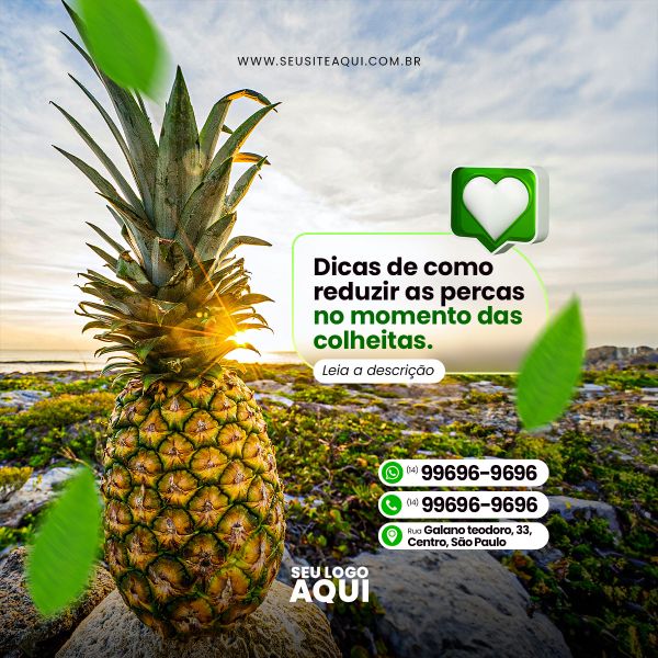 AGRONEGÓCIO, AGRICULTURA, AGROPECUÁRIA - SOCIAL MEDIA | PSD EDITÁVEL