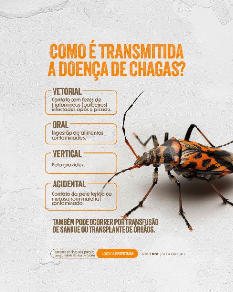 SOCIAL MEDIA - DOENÇA DE CHAGAS - COMO É TRANSMITIDA
