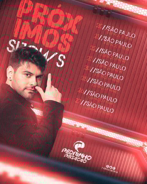 FLYER ARTISTA AGENDA DE SHOWS FEED