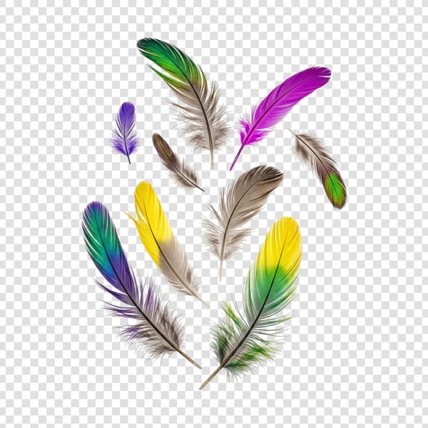 PENAS COLORIDAS DE AVES 03