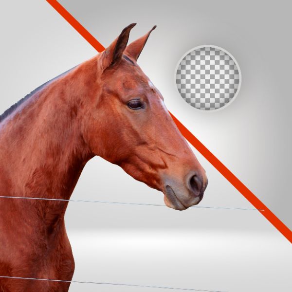 CAVALO VERMELHO 05, ELEMENTO PNG, FUNDO REMOVIDO, ALAZÃO, CAVALO, VAQUEJADA, CAVALGADA
