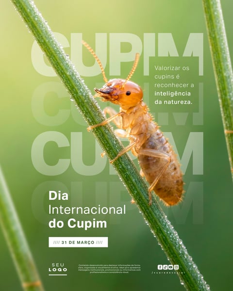 DIA INTERNACIONAL DO CUPIM 31 DE MARÇO SOCIAL MEDIA PSD EDITÁVEL 5