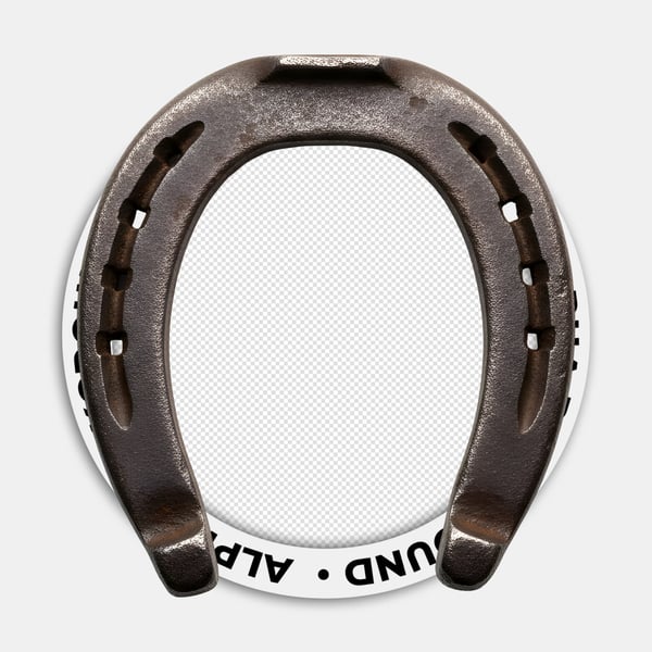 FERRADURA DE CAVALO DE METAL 04