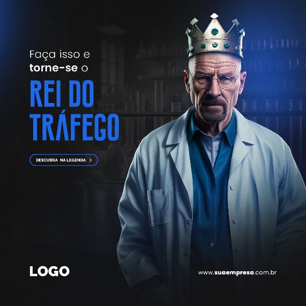 TRÁFEGO PAGO / GESTOR DE TRÁFEGO 25 BLUE FEED