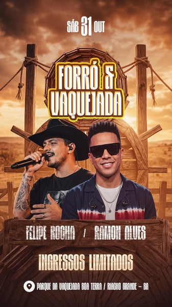 FLYER FORRÓ & VAQUEJADA STORIES PSD EDITÁVEL