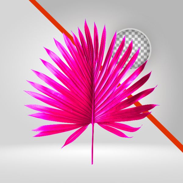 FOLHA CARNAVAL 01, COMPOSIÇÃO DE VERÃO, CARNAVAL, ELEMENTO PNG, PLANTAS,