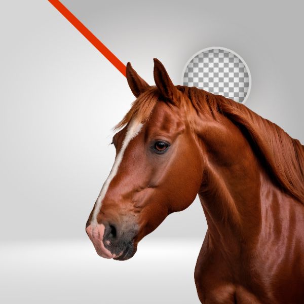 ELEMENTO PNG, CAVALO VERMELHO, PARA FLYERS DE VAQUEJADA, CAVALGADA, SERTANEJO, FUNDO TRANSPARENTE, ALAZÃO, CORCEL, RURAL