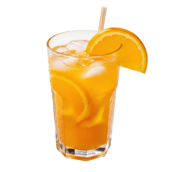 COPO DE SUCO DE LARANJA COM GELO 3