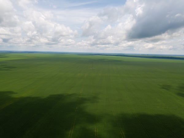 LAVOURA DE SOJA DRONE 17