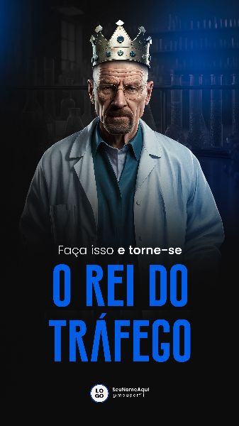 TRÁFEGO PAGO / GESTOR DE TRÁFEGO 25 BLUE STORY