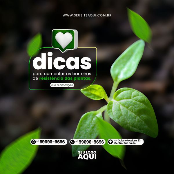 AGRONEGÓCIO, AGRICULTURA, AGROPECUÁRIA - SOCIAL MEDIA | PSD EDITÁVEL