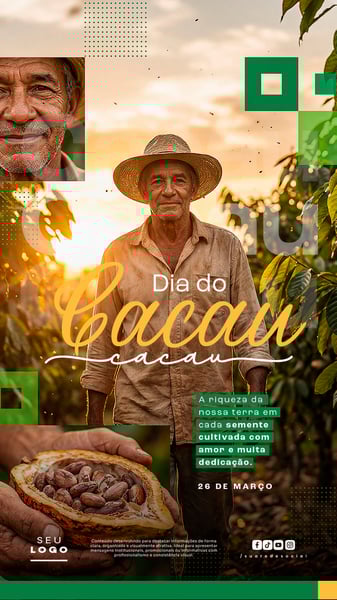 Dia do Cacau