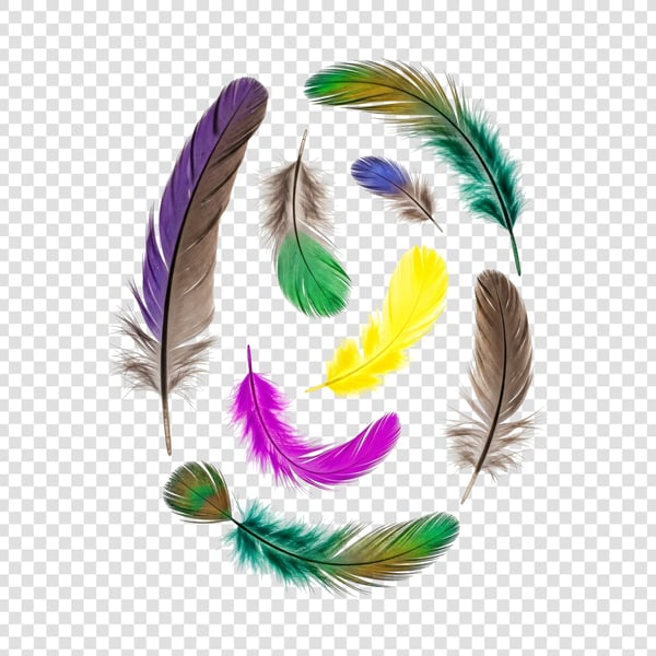 PENAS COLORIDAS DE AVES 02