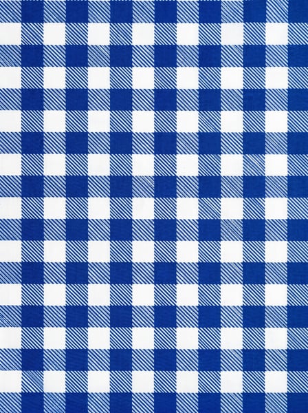 TEXTURA XADREZ AZUL E BRANCO PADRÃO GINGHAM SEAMLESS PARA FUNDO