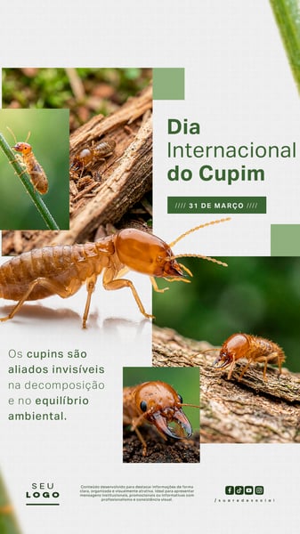 DIA INTERNACIONAL DO CUPIM 31 DE MARÇO STORY SOCIAL MEDIA PSD EDITÁVEL 3