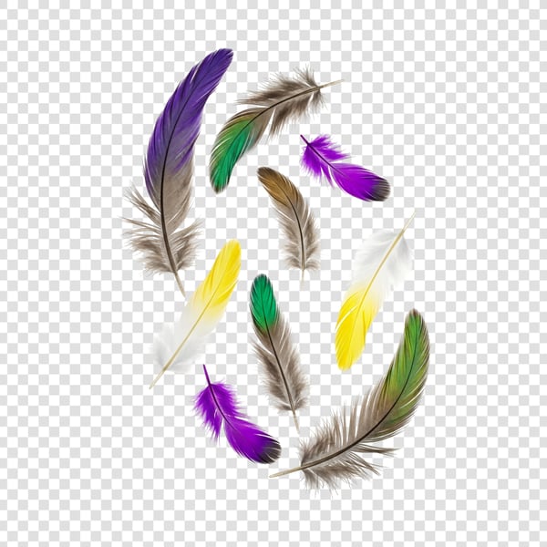 PENAS COLORIDAS DE AVES 04