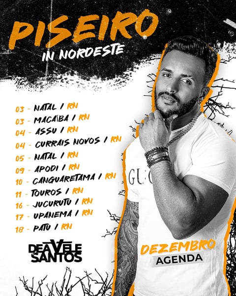 FLYER ARTISTA PISEIRO AGENDA DE SHOWS FEED
