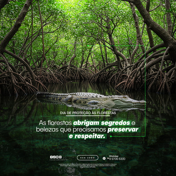 Dia de Proteção às Florestas
