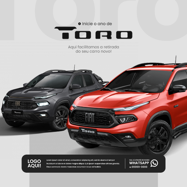 SOCIAL MEDIA CONCESSIONÁRIA - INICIE O ANO DE TORO