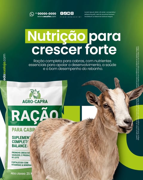 LOJA DE PRODUTOS AGROPECUÁRIOS SOCIAL MEDIA PSD EDITÁVEL 5