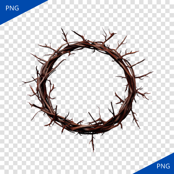 COROA DE ESPINHOS PNG