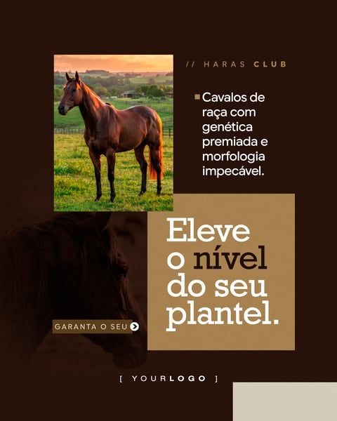 ELEVE O NÍVEL DO SEU PLANTEL HARAS SOCIAL MEDIA PSD EDITÁVEL